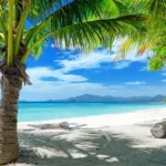 Andaman-1
