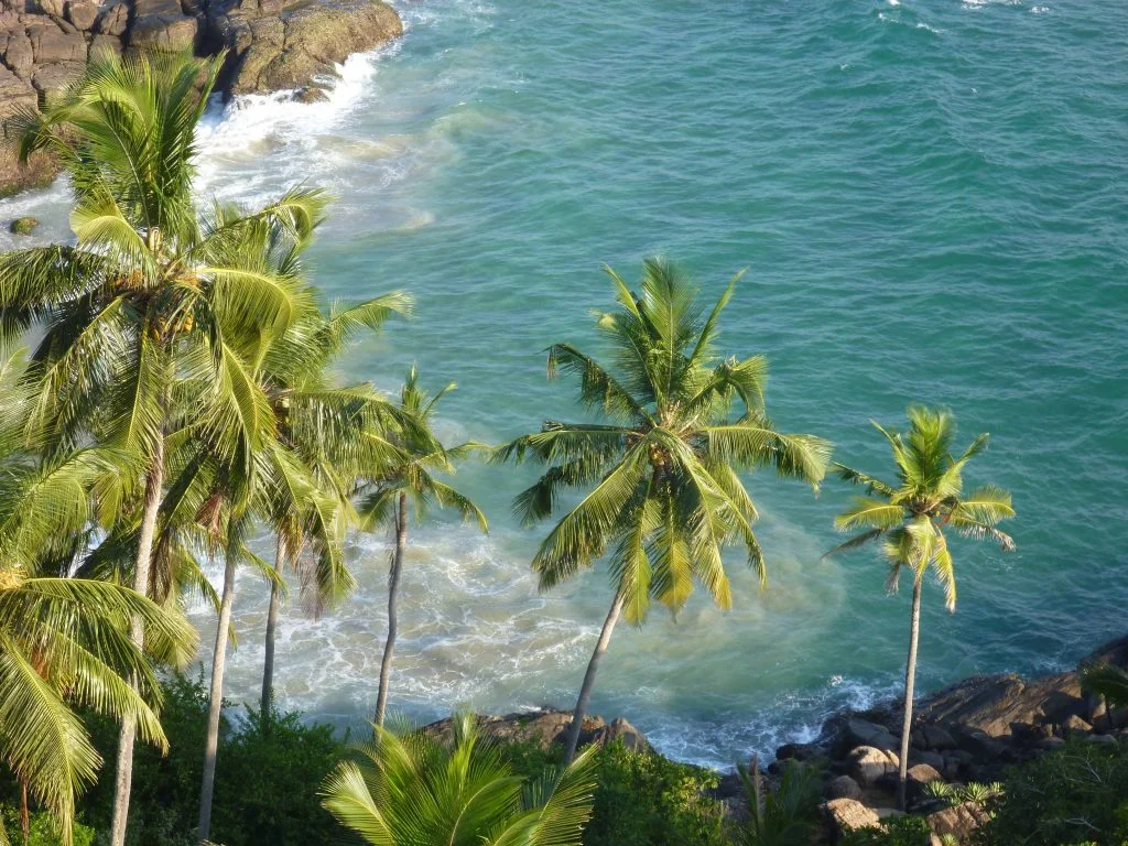 Let’s Rebuild God’s Own Country - Kerala!