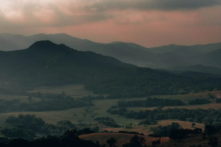 Coorg