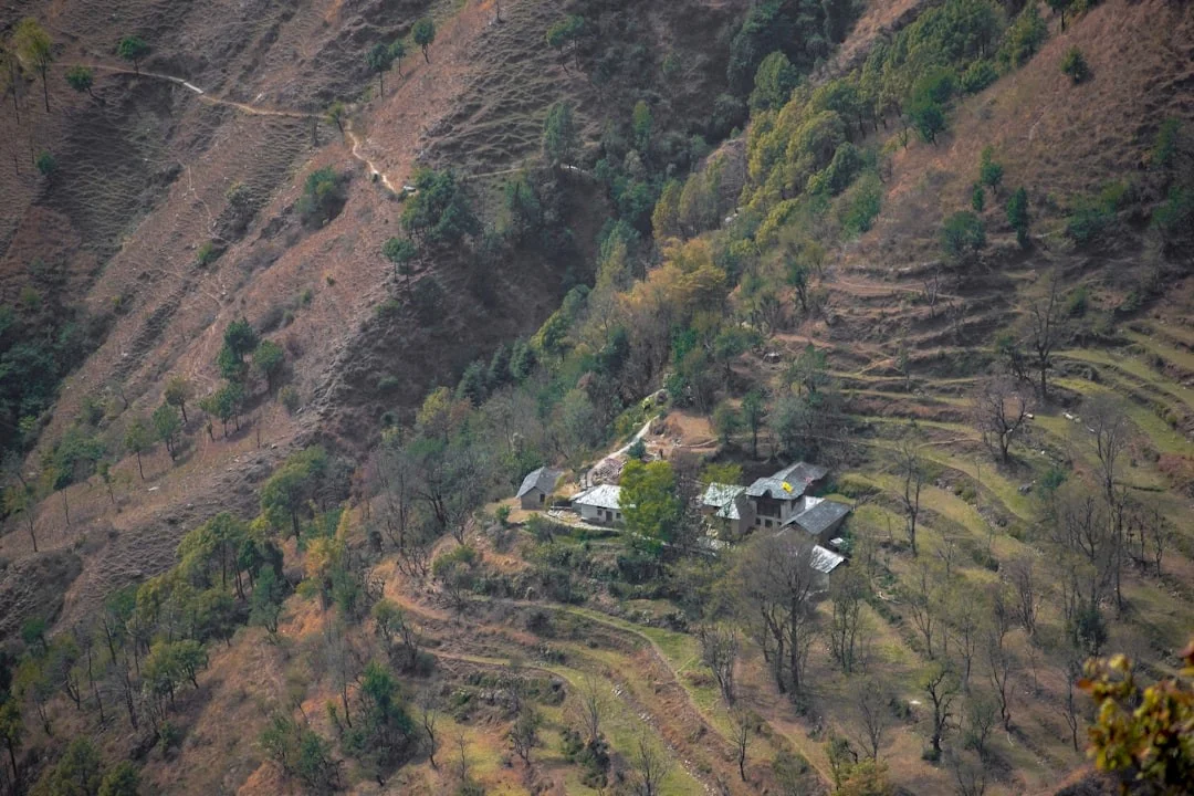 Top 10 Must-Visit Places in Palampur for a Perfect Getaway