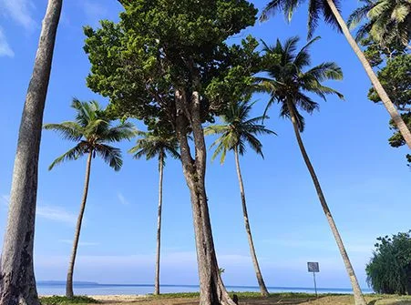 andaman_first_1