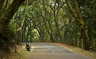kodai111