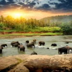 Things to Fall In Love with Sri Lanka
