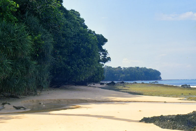 Showcase The Adventurous In You, Go Andamans