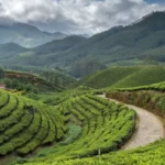 Darjeeling