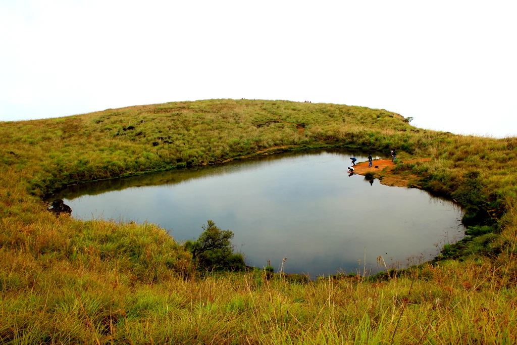Wayanad, the Idyllic Land of your Dreams