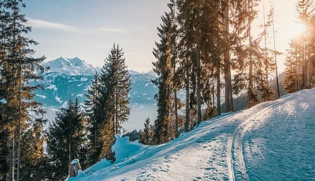 Place to visit in January