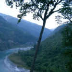 Kalimpong