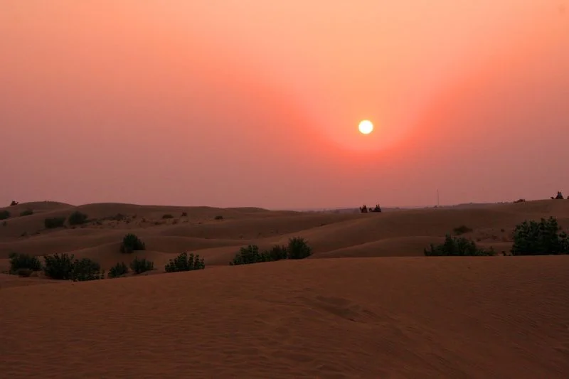 Get Off the Beaten Track with Jeep Safaris
