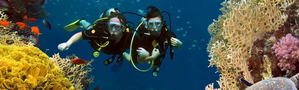 A Quick and Handy Guide to Andaman Tourism