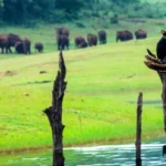 Kerala