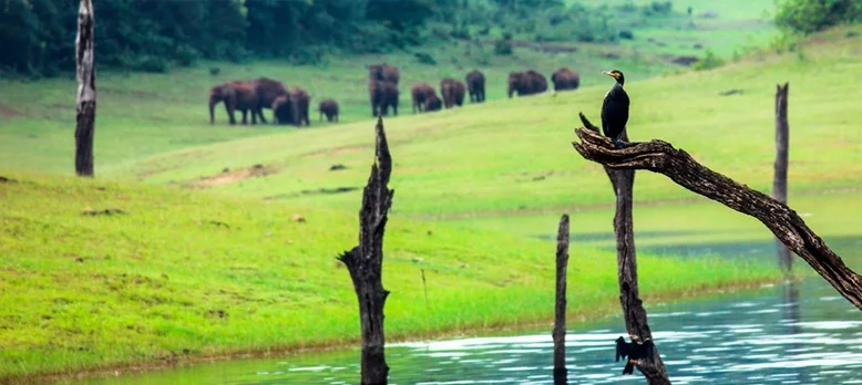 Kerala