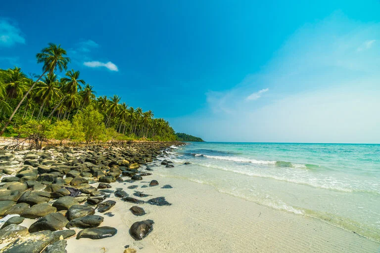 Konkan Coastal Paradise