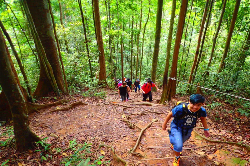Trekking