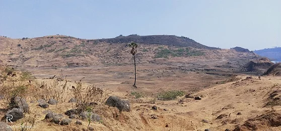 Plateau