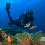 Andaman
