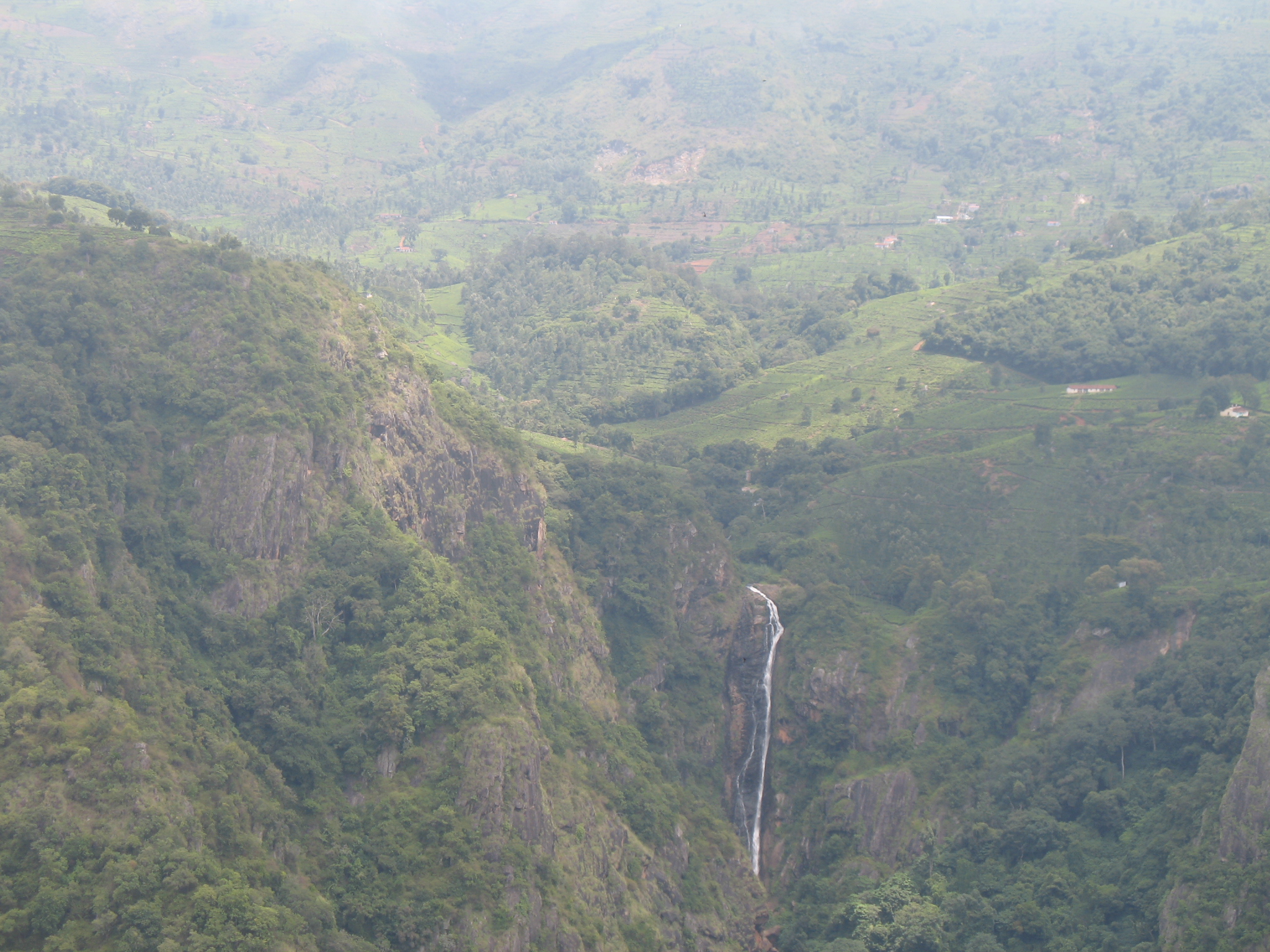 Dolphin’s Nose