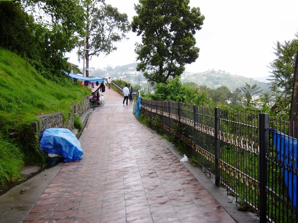 Coakers Walk