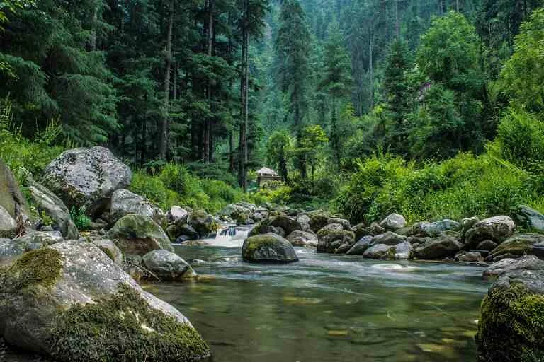 Gushaini: Rustic Charm in the Tirthan Valley