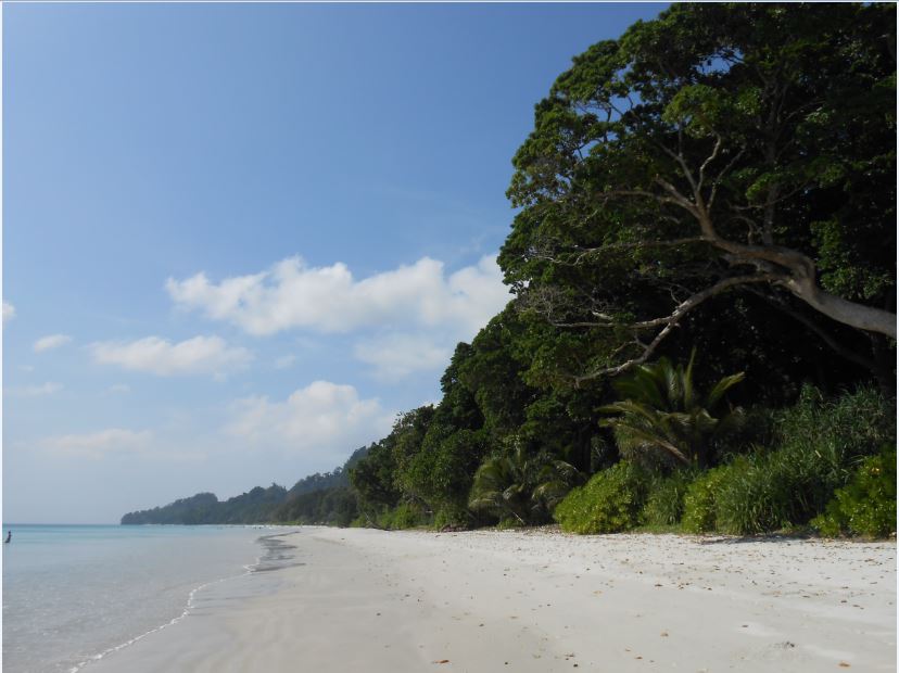 Radhanagar_Beach