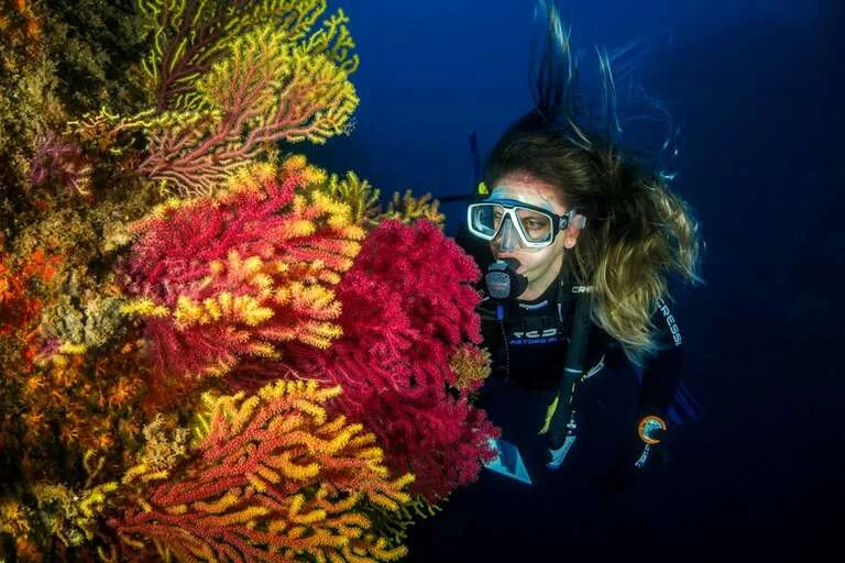Surin Islands: Untouched Beauty Underwater