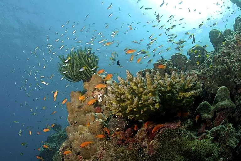 Andaman