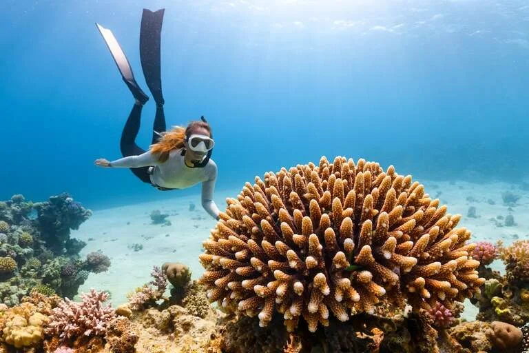 Phuket: Diving and Beyond