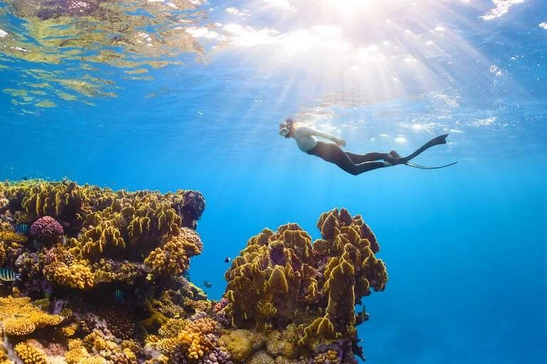 Scuba Diving in Thailand