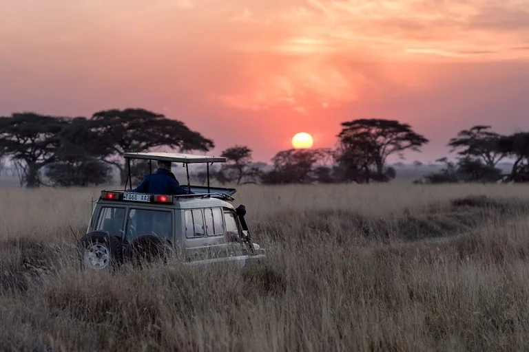 Serengeti National Park safari