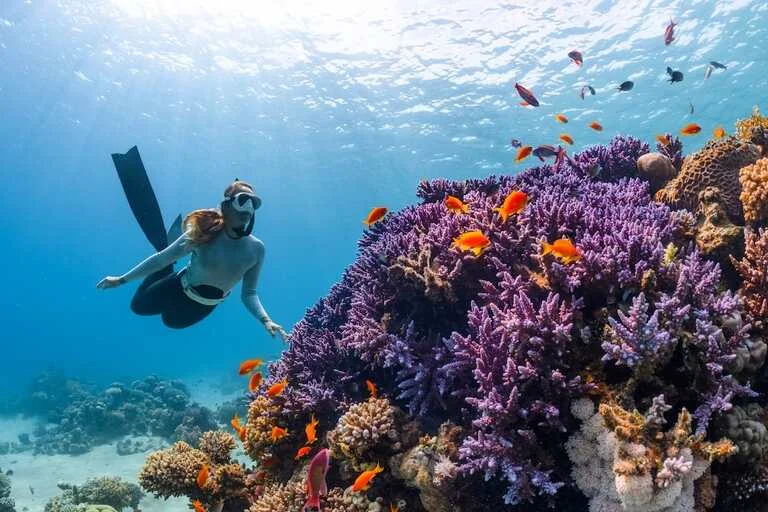 Similan Islands