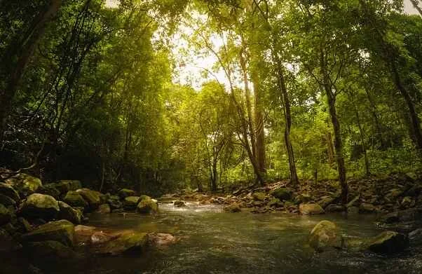 Simlipal National Park