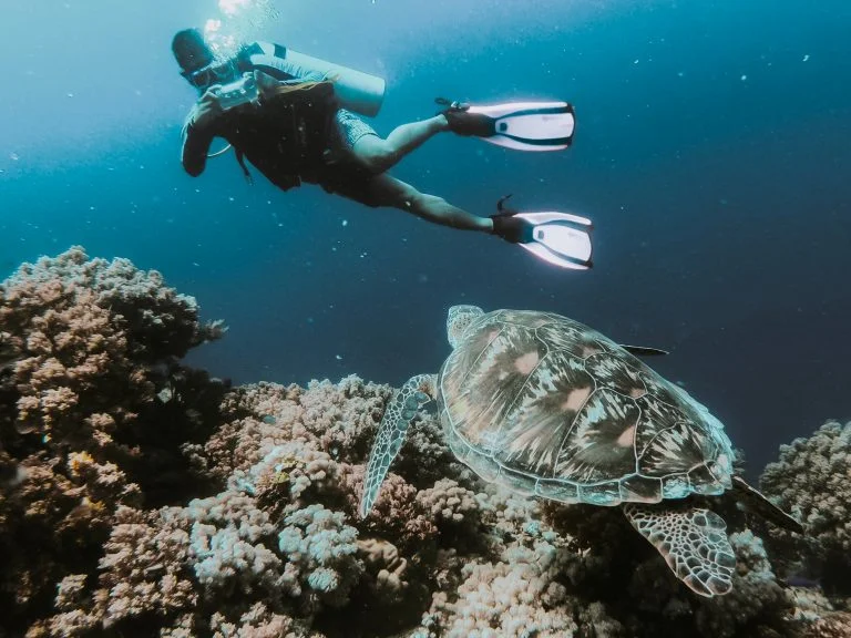 Snorkelling