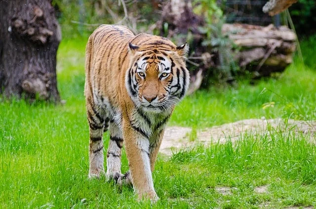 Sunderbans, West Bengal