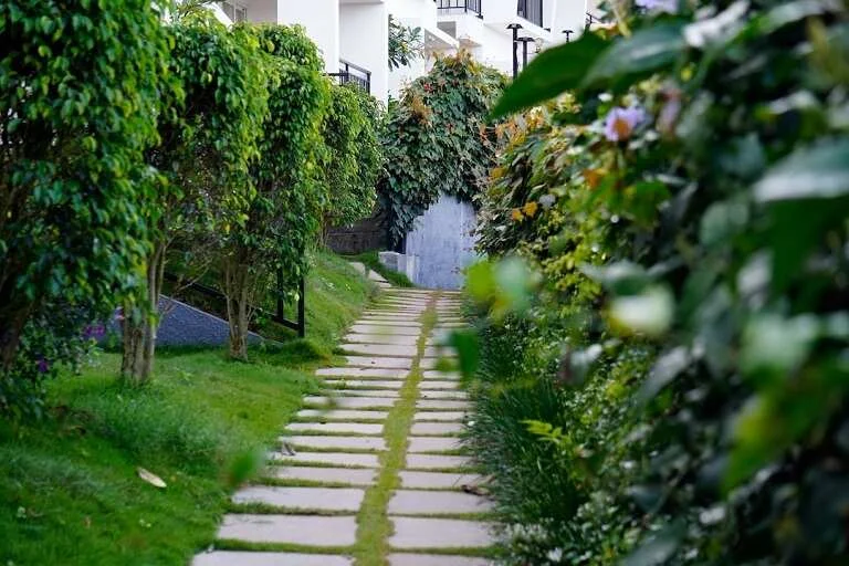 Tea Village Resort