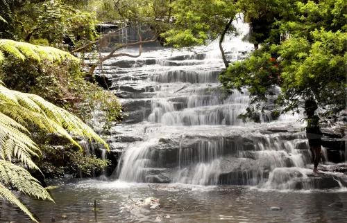 Vattakanal Falls