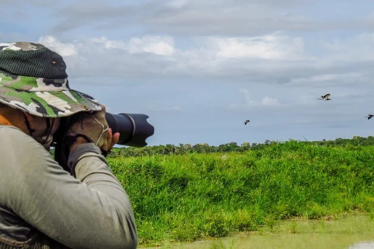 Wildlife photography at Kaziranga
