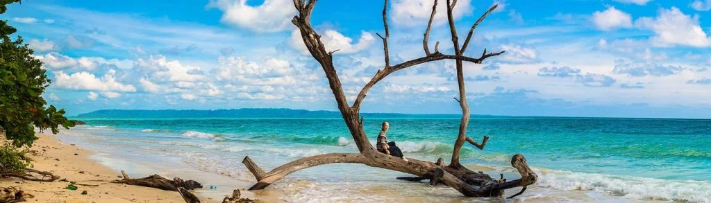 Do Not Miss these Natural Mangrove Walkways in Andaman