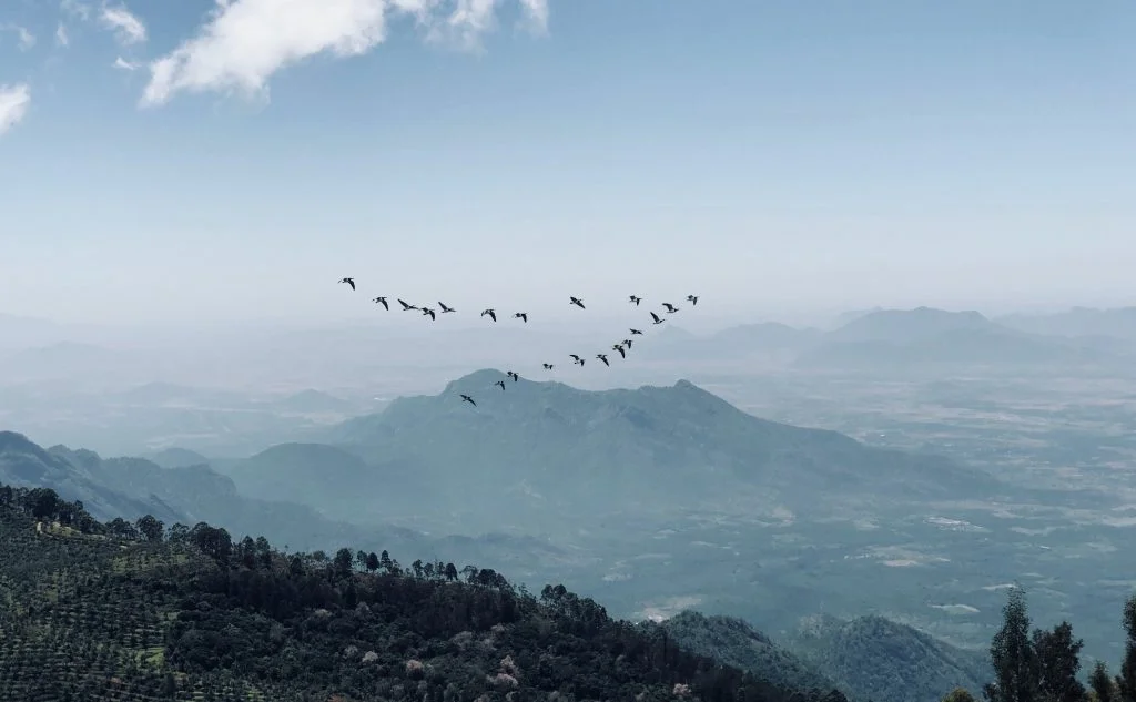Visit In Ooty