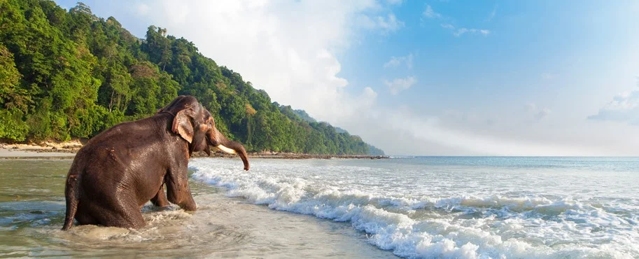 Andaman Trip