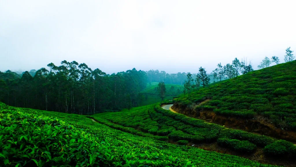Thekkady