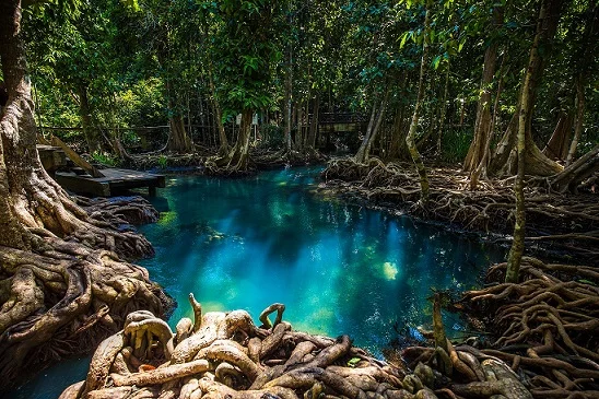 krabi21